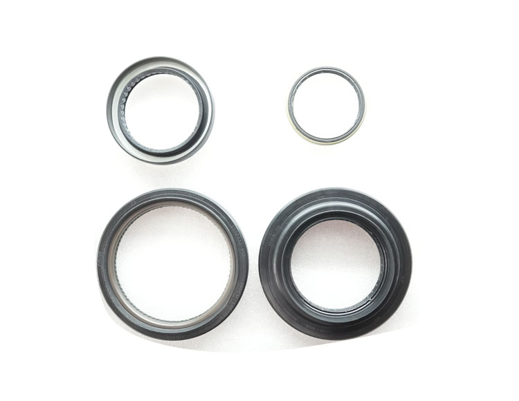 Dongfeng 153 Truck Oil Seal Series