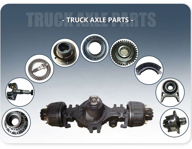 A Comprehensive Introduction to Dongfeng Dana Axle
